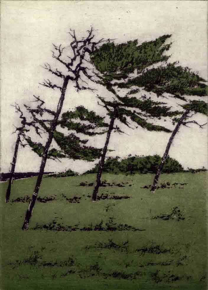 Windfl�chter