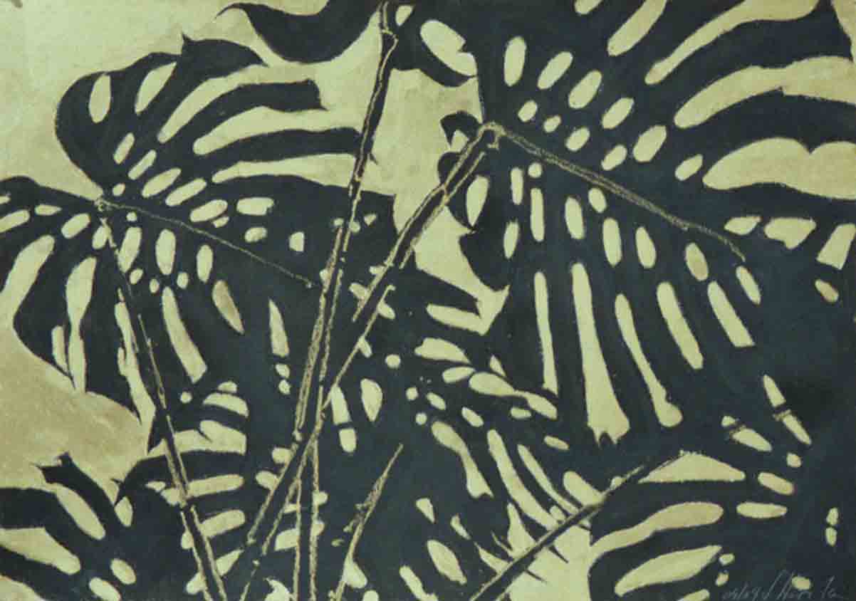 Monstera schwarz